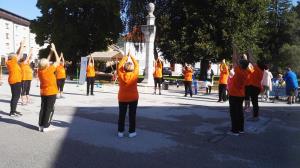 Dan zdravja 2017 (18)